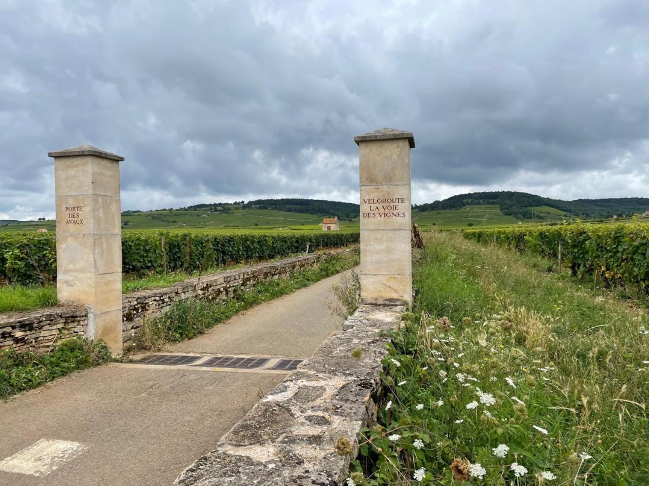 Le Jardin Des Verottes Beaune  Eksteriør billede